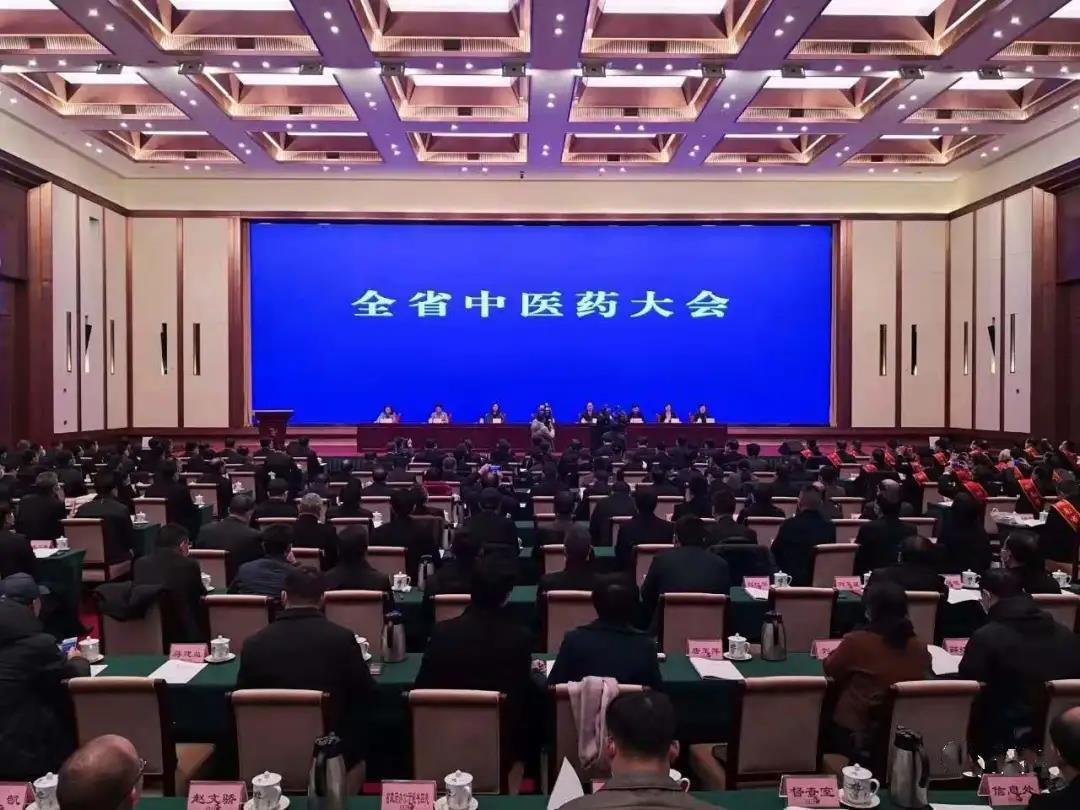 见证盛典，公司应邀参加 湖南省中医药大会